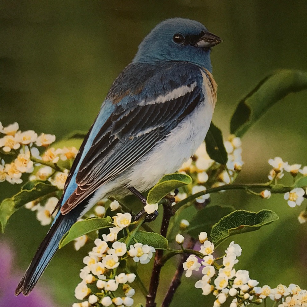 Meet your Posher, Mel